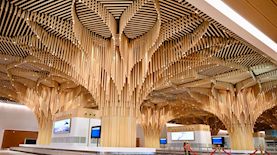 נמל תעופה הודו חדש, צילום: יחצ